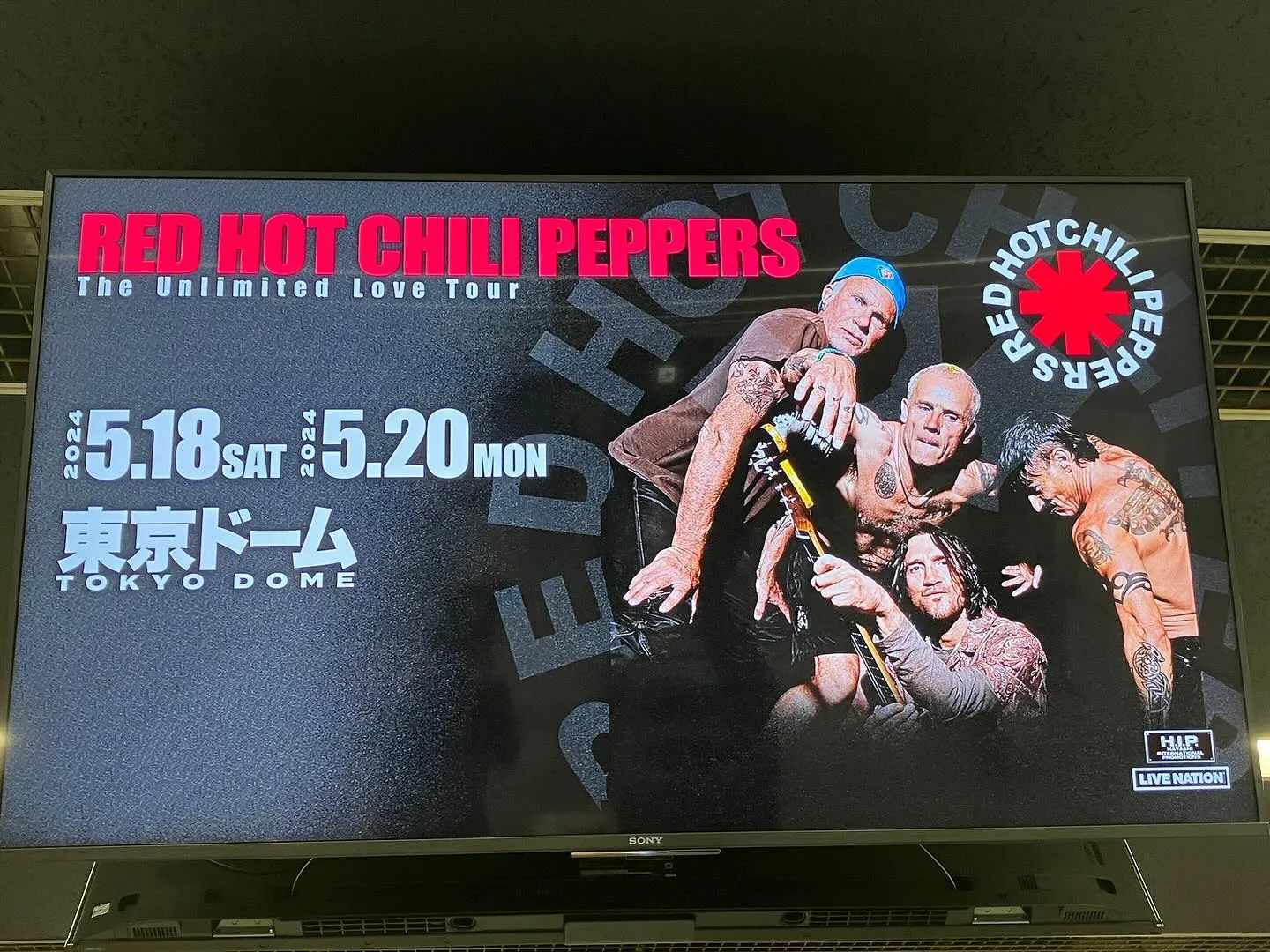 red hot chili peppers in東京ドーム