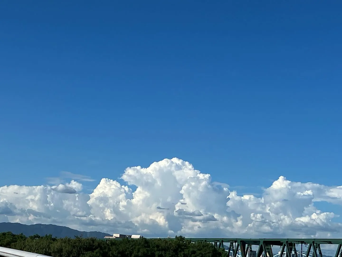 今日もいい天気。