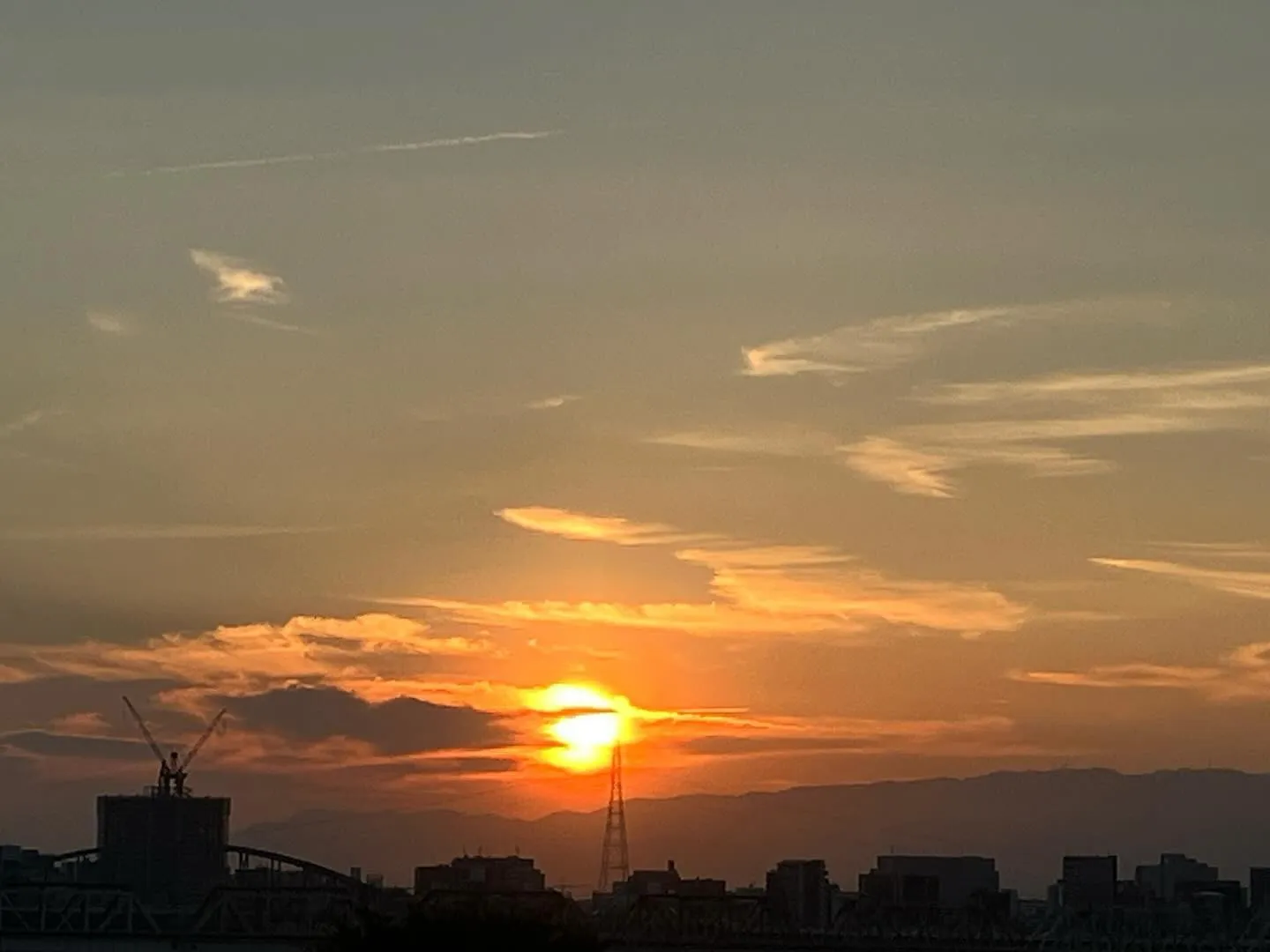 今夜は中秋の名月🌕