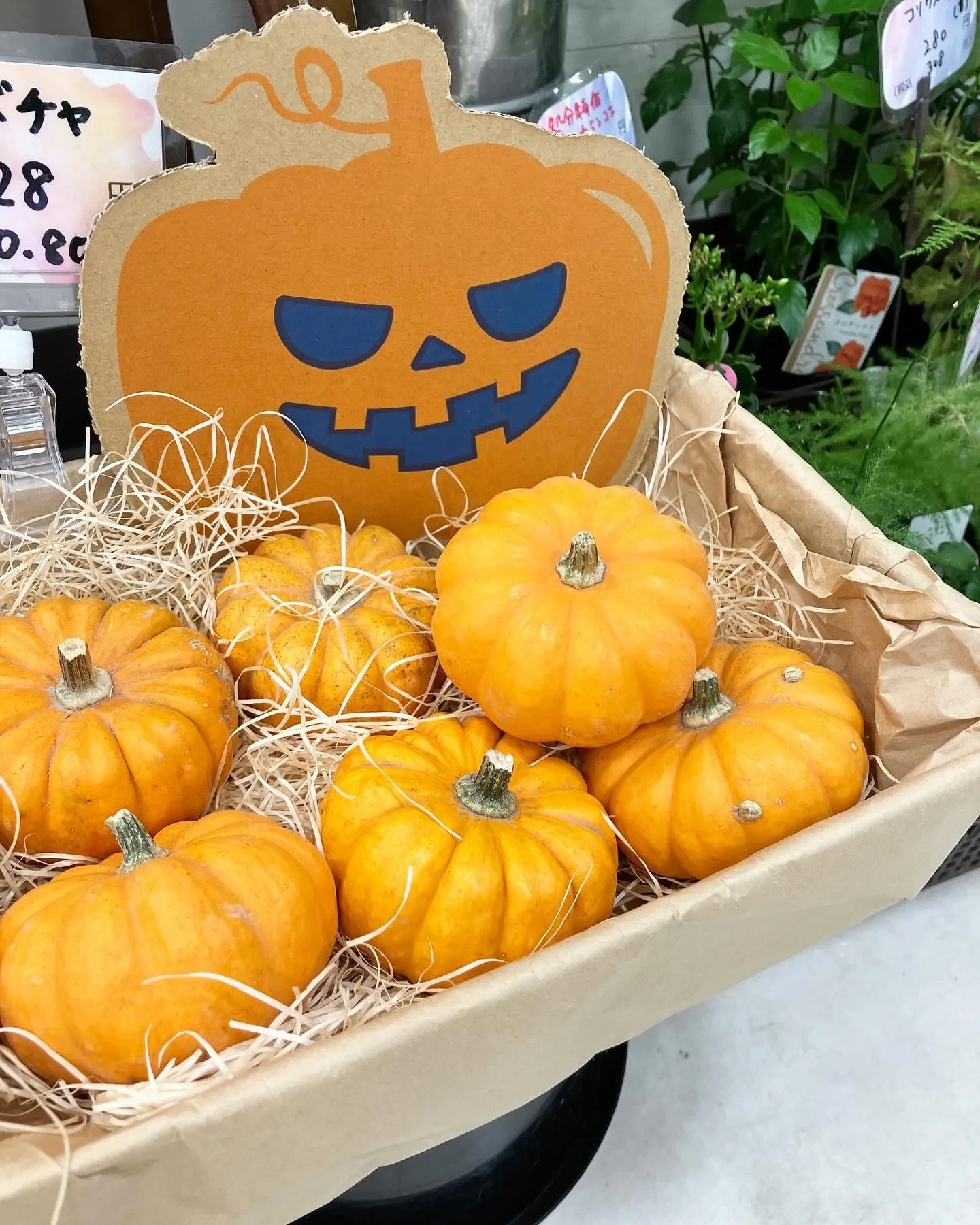 明日はハロウィン🎃