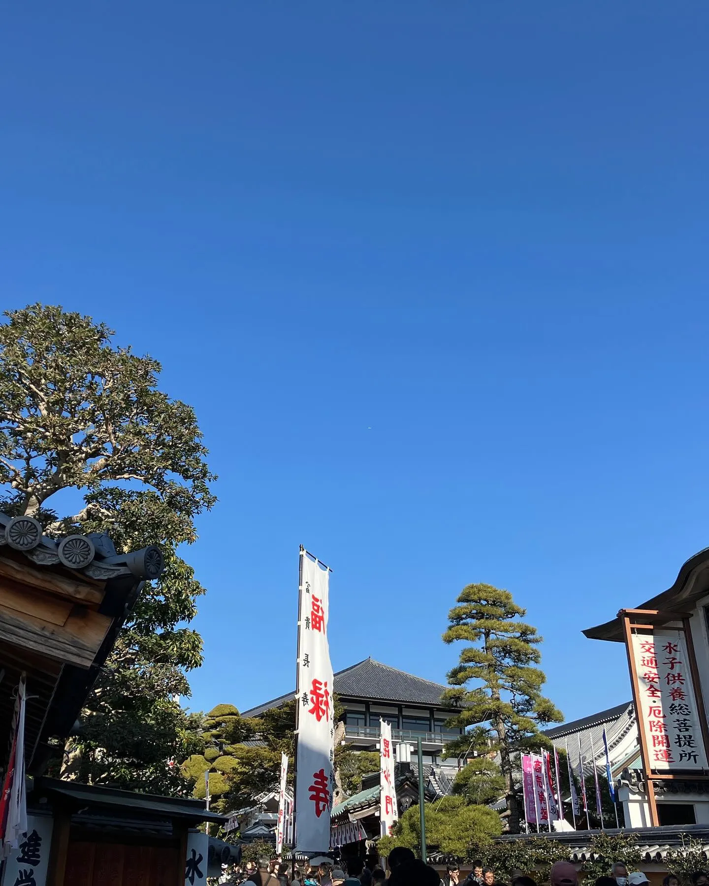 中山寺へ初詣に参りました。