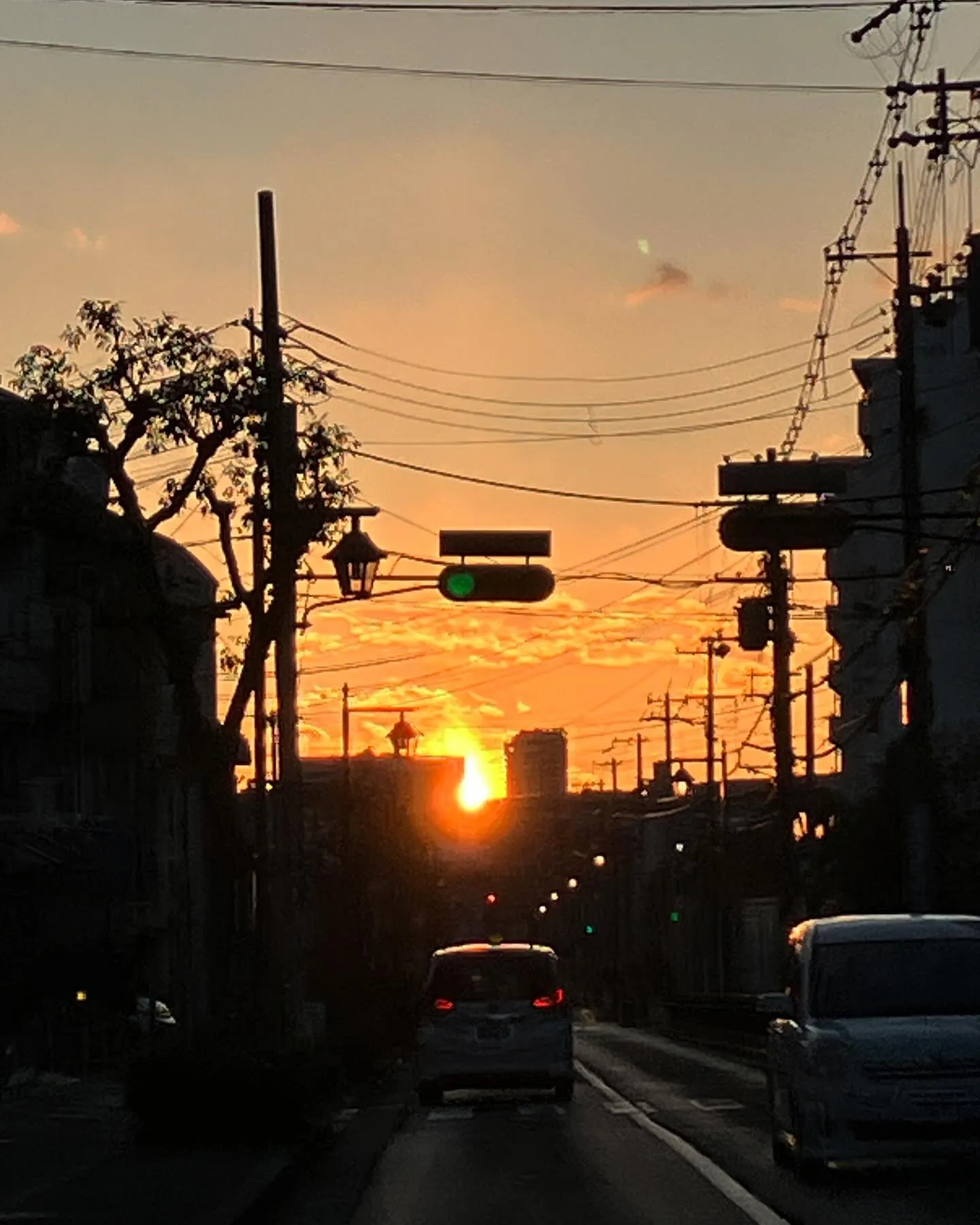 今日もお昼に雪が降った大阪でした。