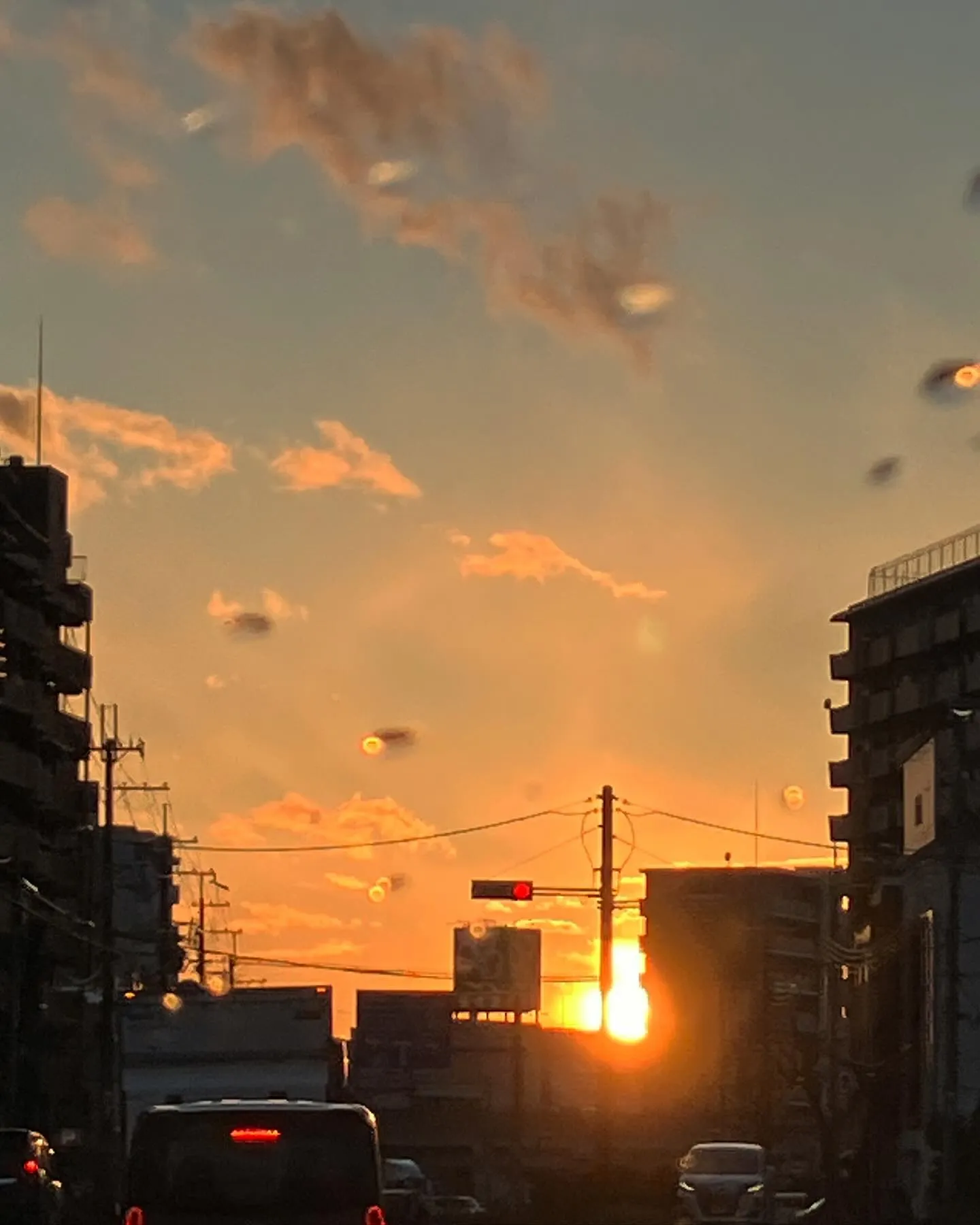 今日もお昼に雪が降った大阪でした。