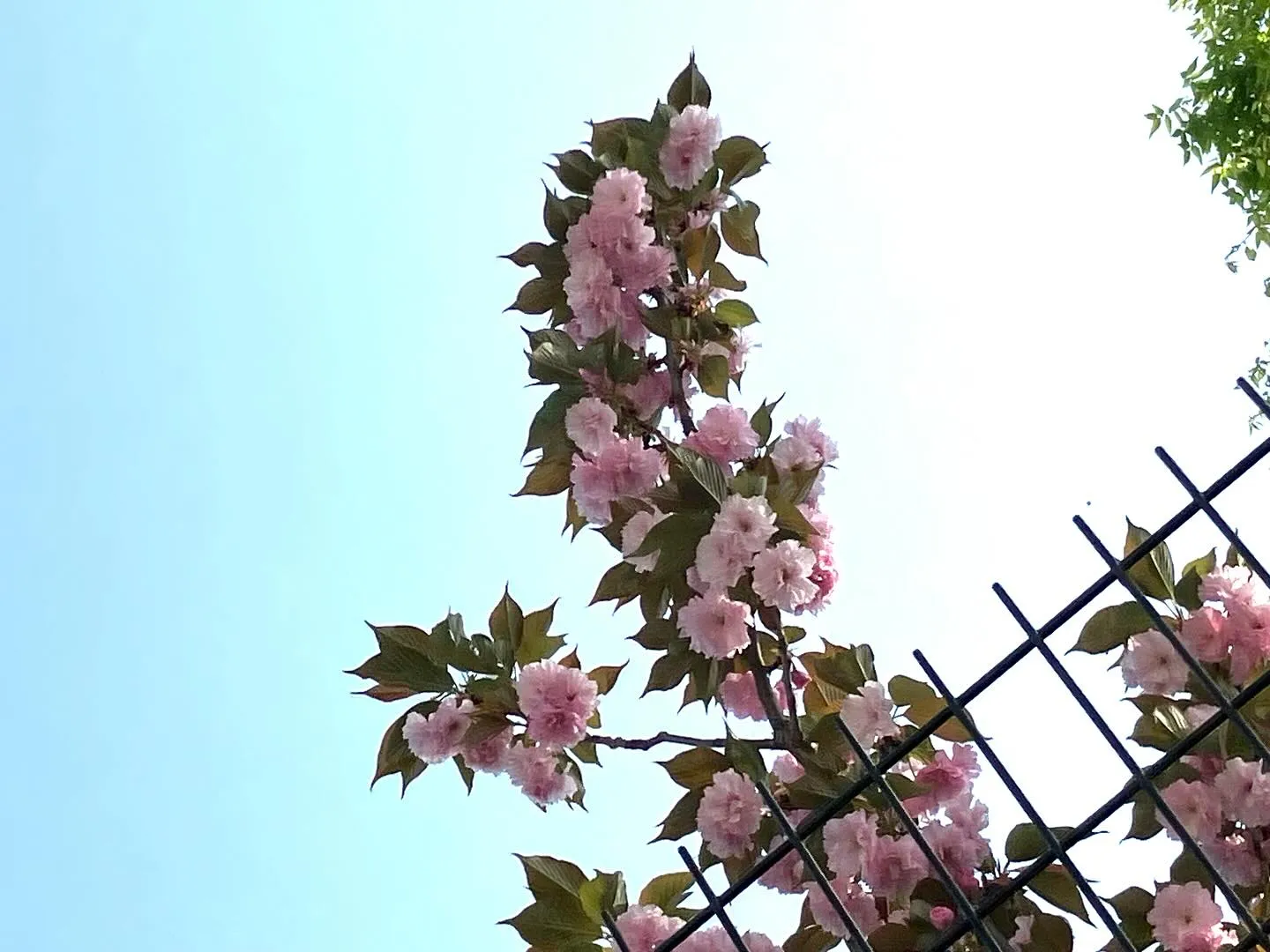 今週も皆様お疲れ様でした。