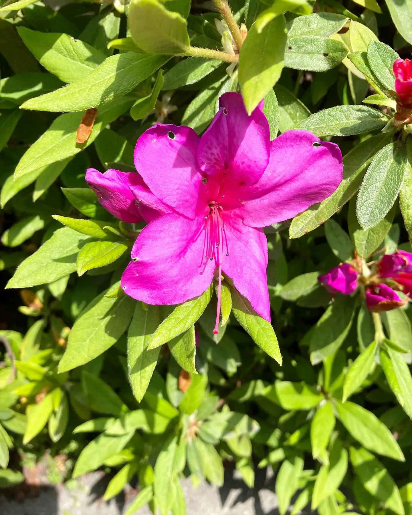 本日もご来店いただきありがとうございました😊