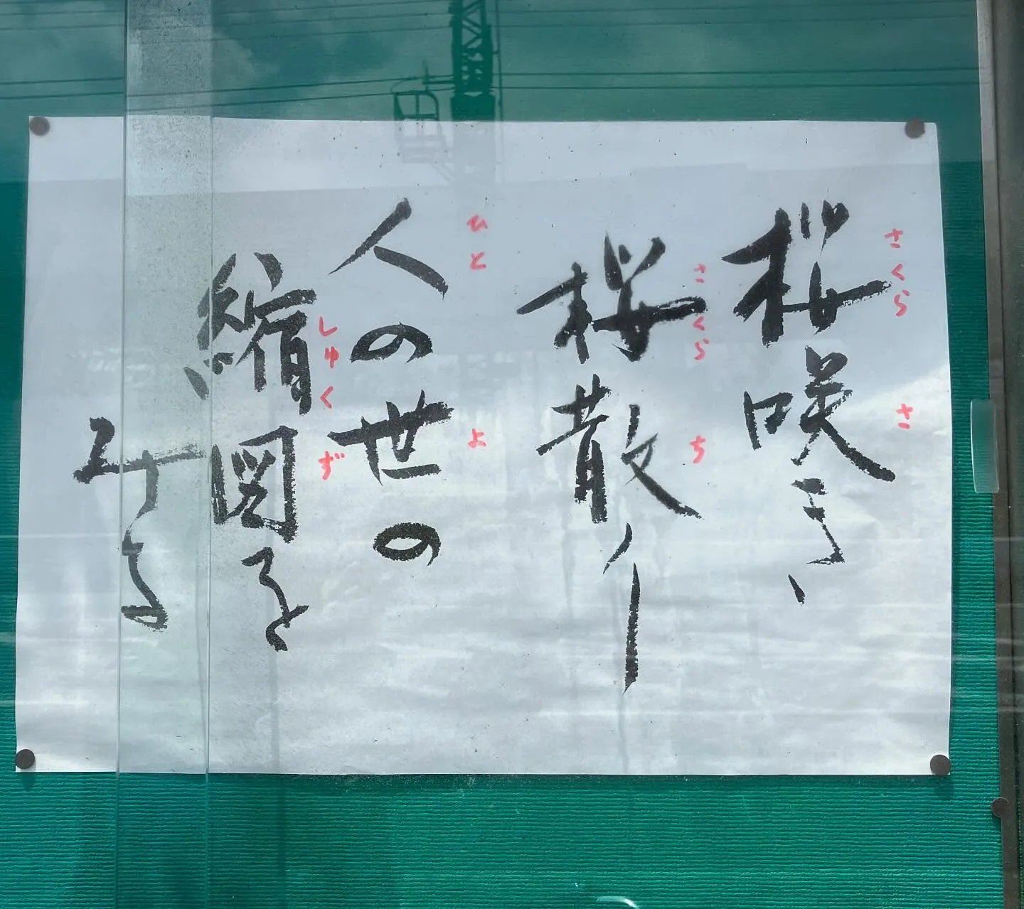 お寺の掲示板🪧