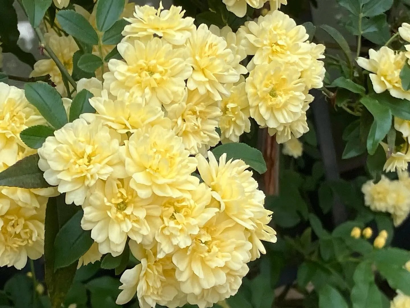 本日も暑いくらいの良いお天気の大阪。