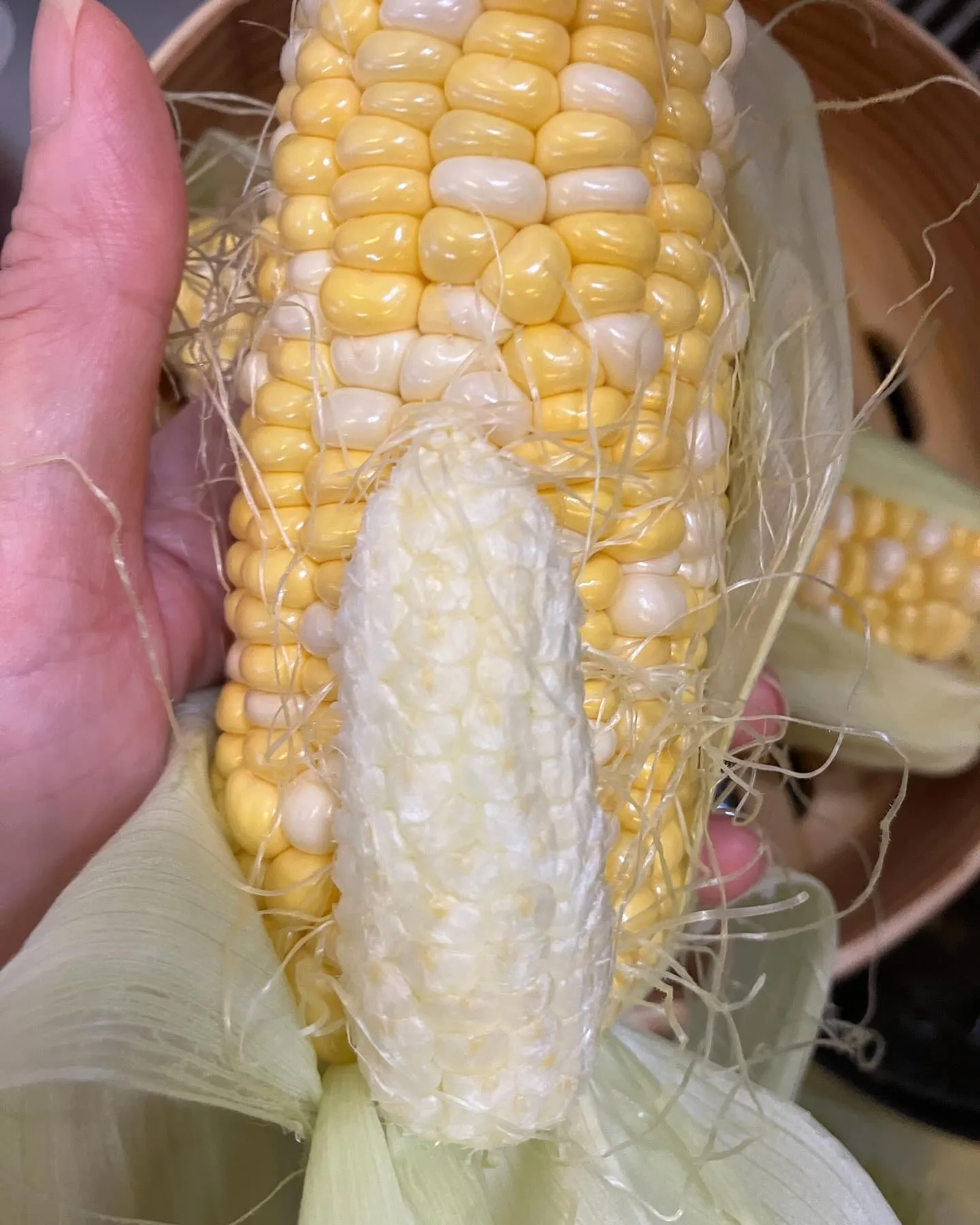 早いもので本日で5月も最後の日となりました。