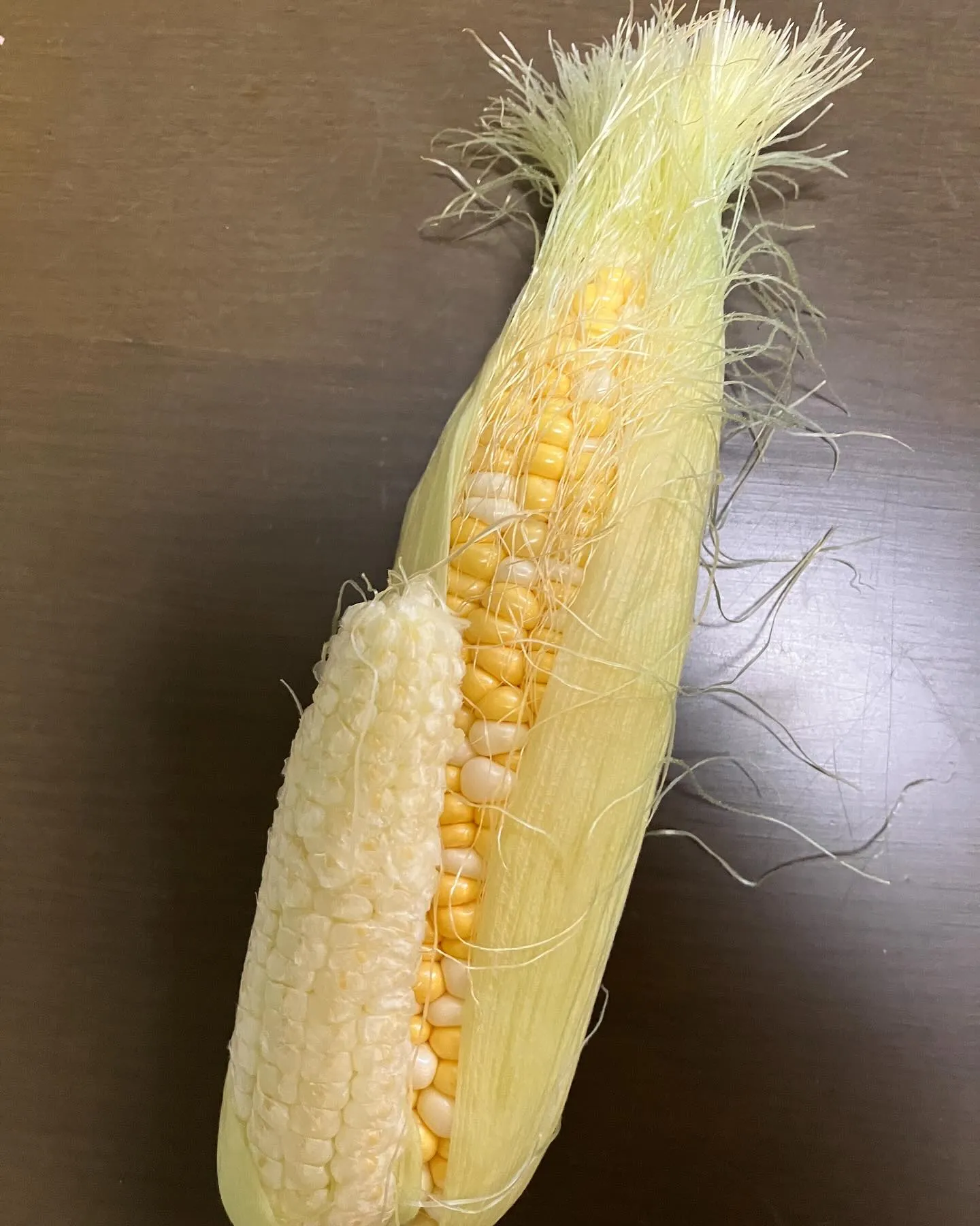 早いもので本日で5月も最後の日となりました。