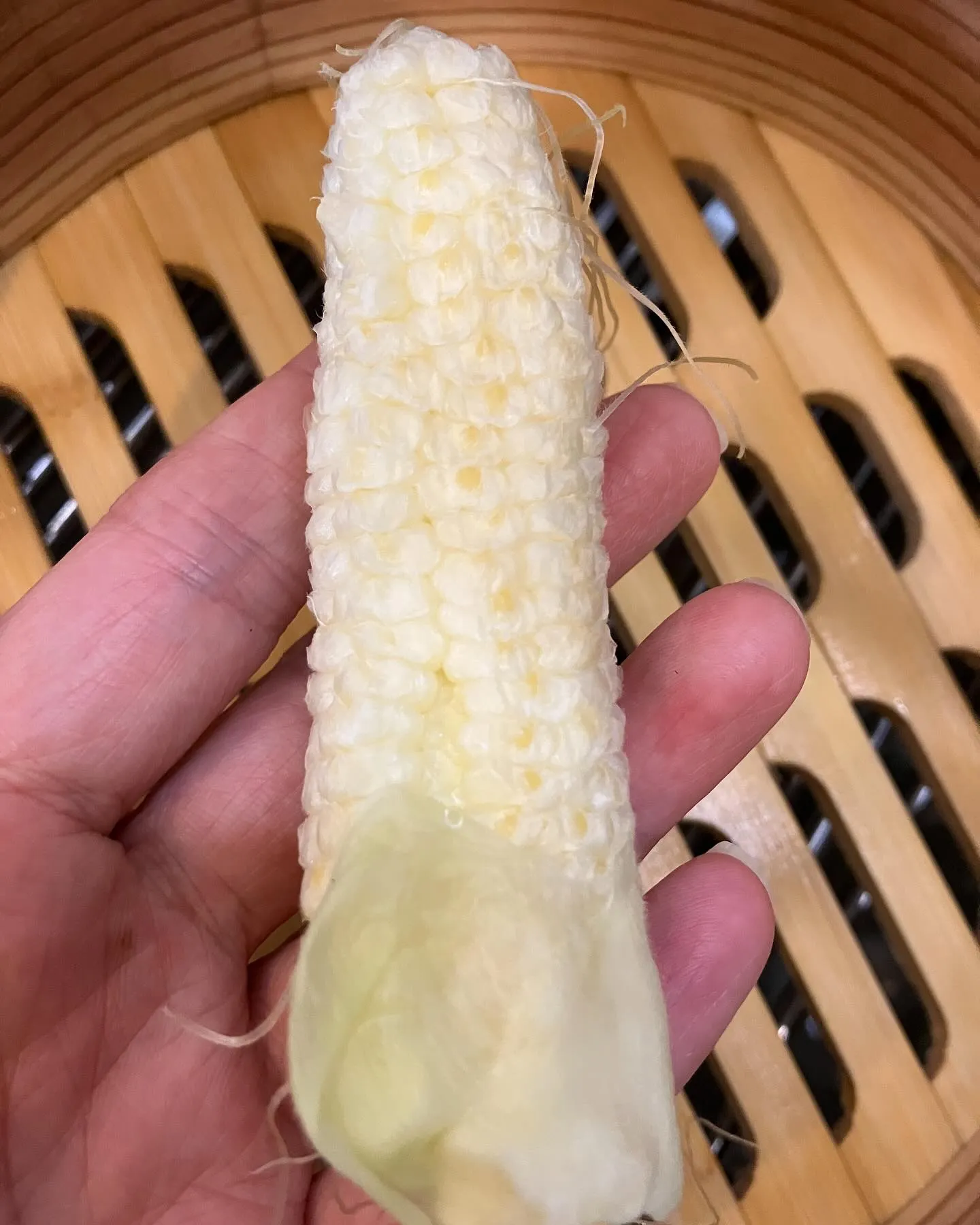早いもので本日で5月も最後の日となりました。