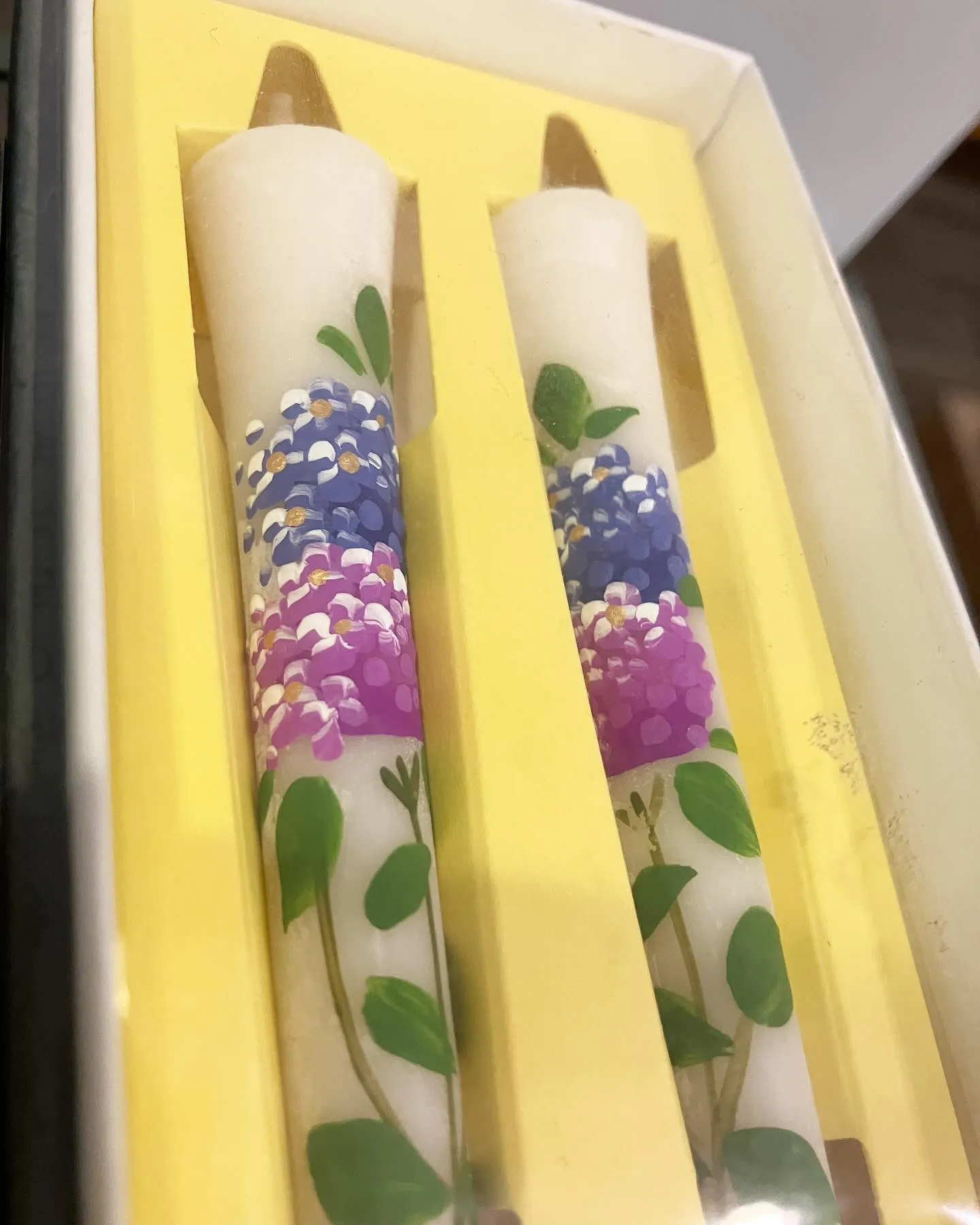 紫陽花が満開です。