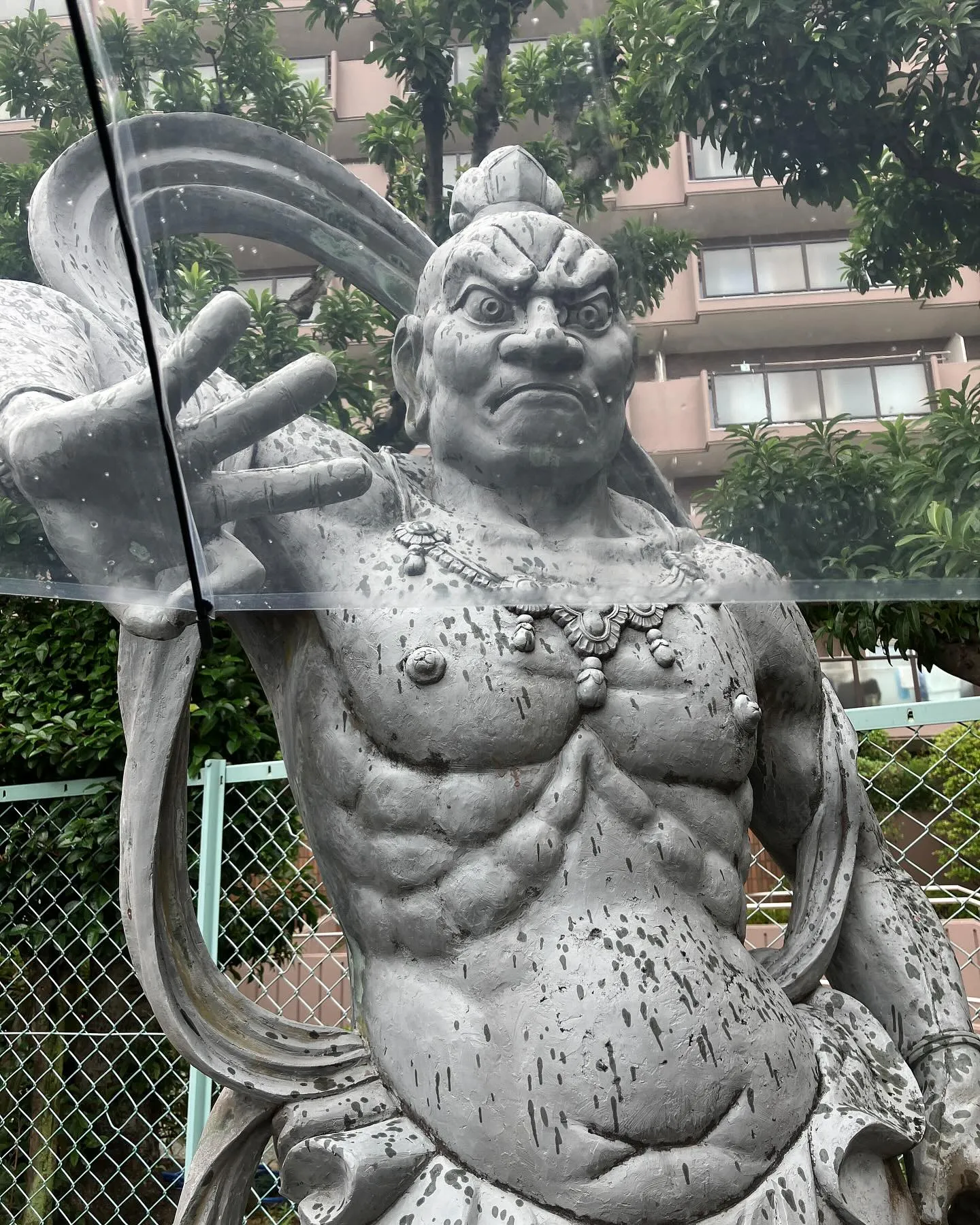 梅雨ですね☂️