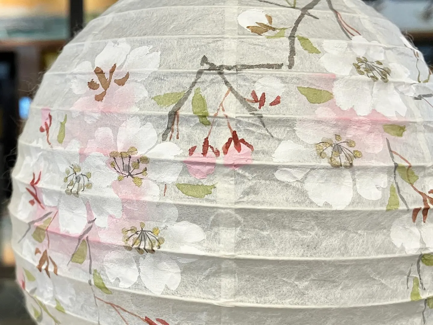 季節はずれの桜🌸