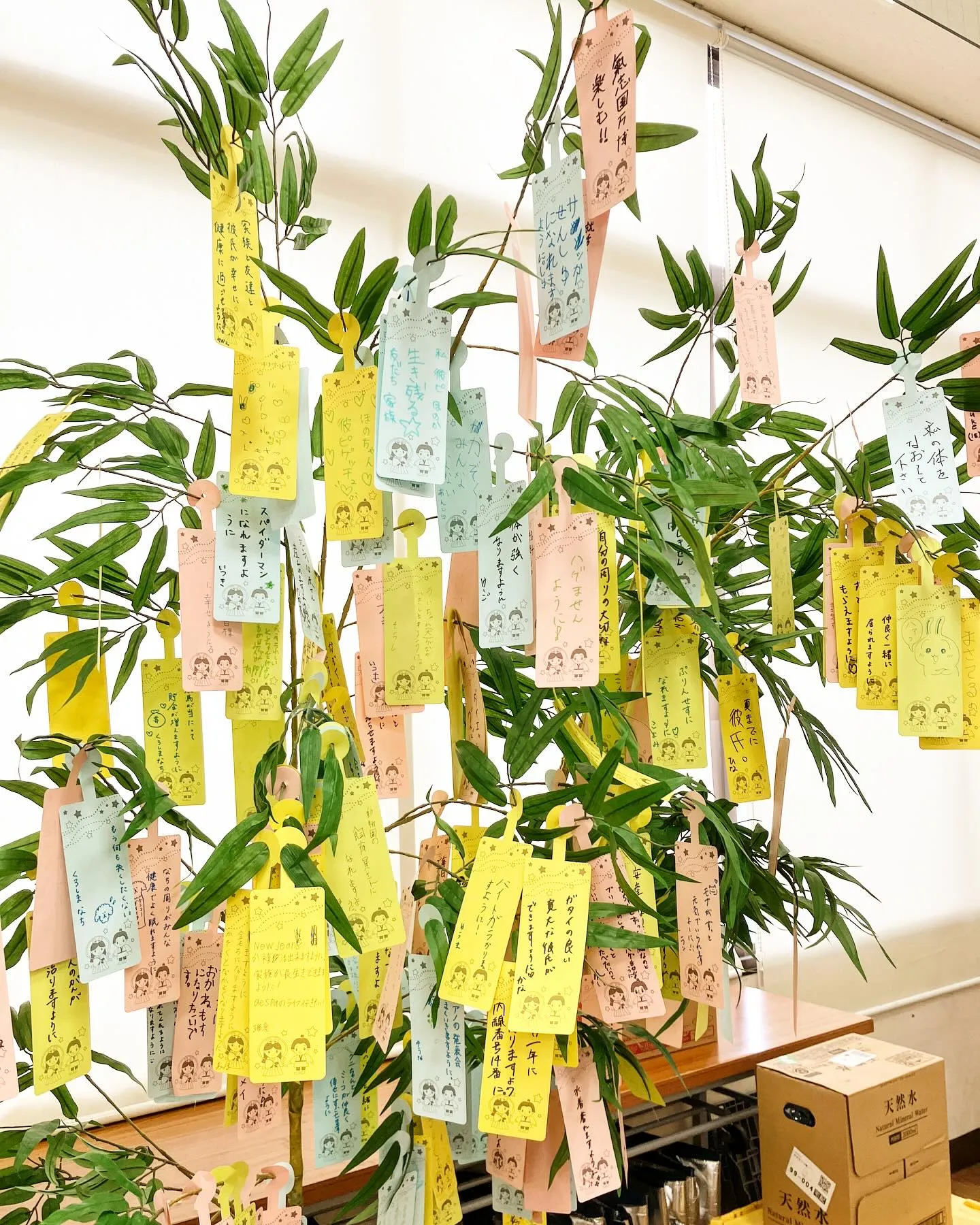 令和7年7月7日🎋