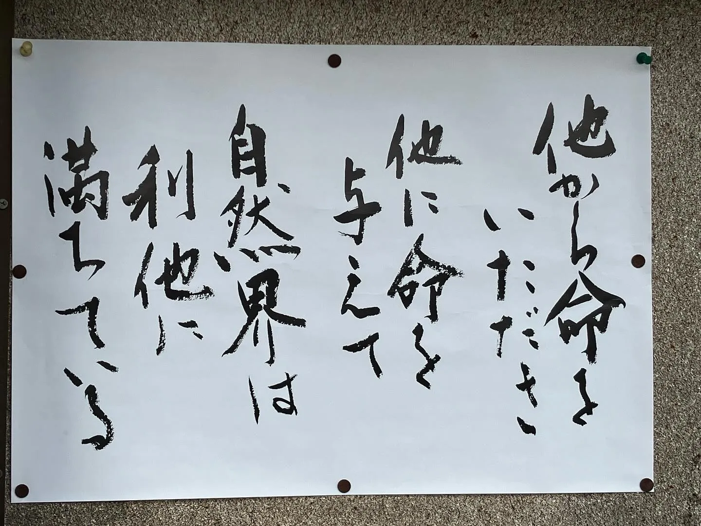 お寺の掲示板🪧