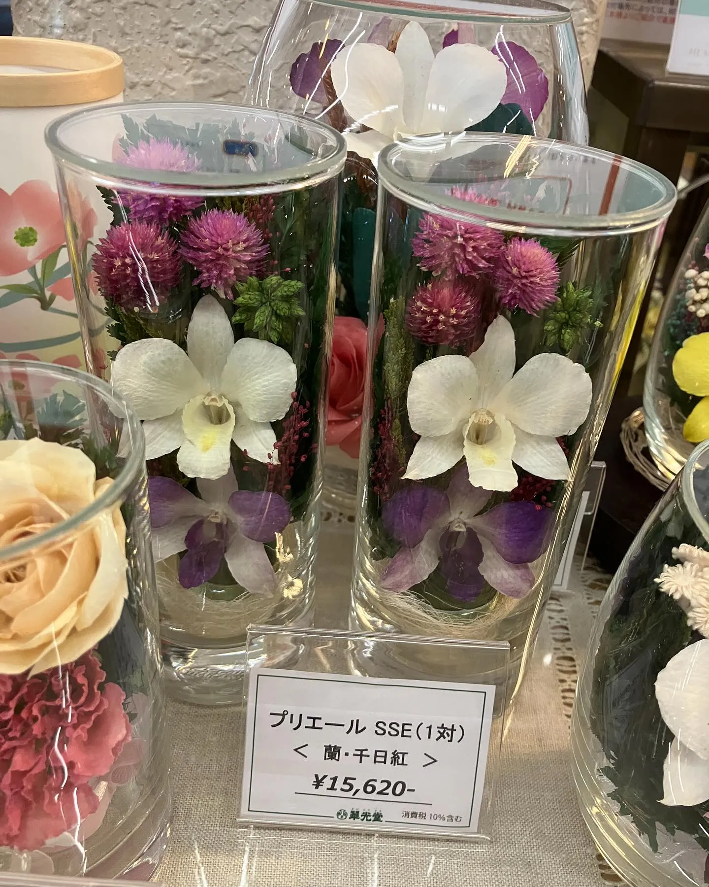 今日もとんでもない暑さ🫠