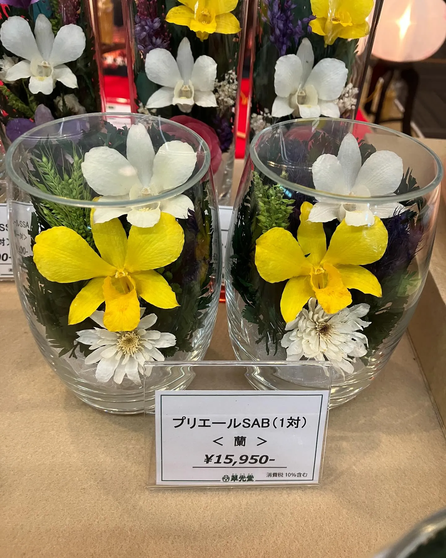 今日もとんでもない暑さ🫠