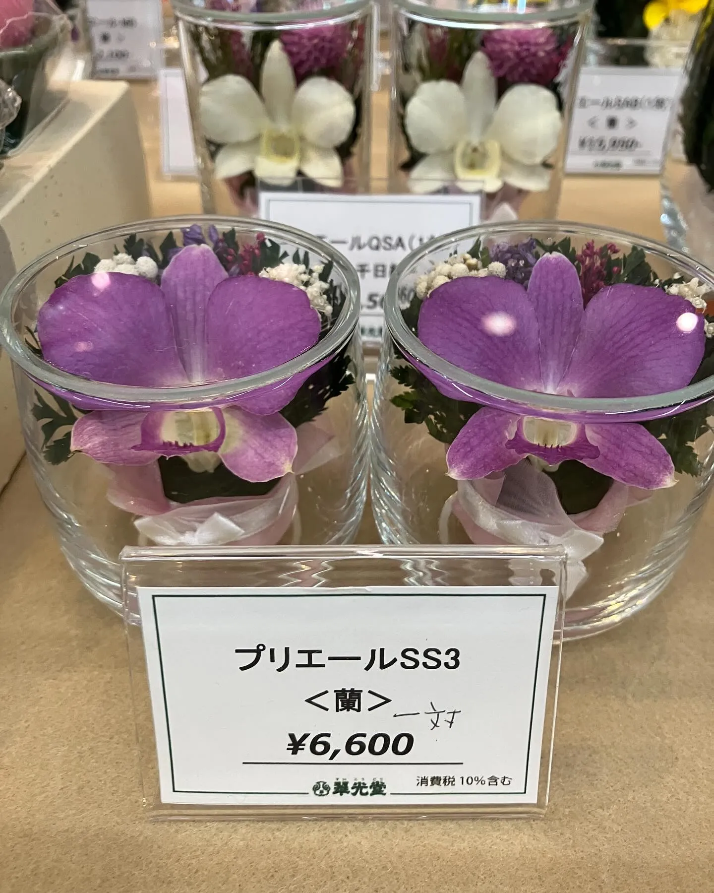 今日もとんでもない暑さ🫠