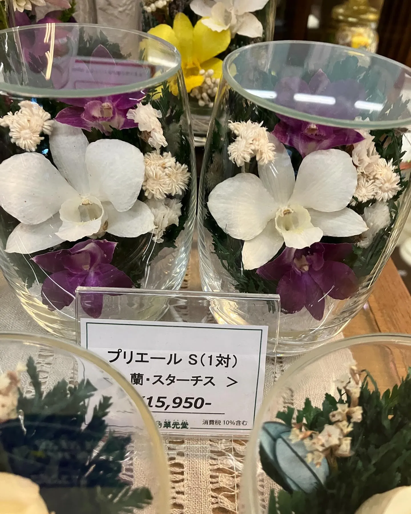 今日もとんでもない暑さ🫠