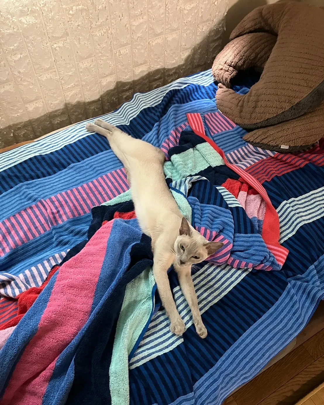 7月も今日で終わり。