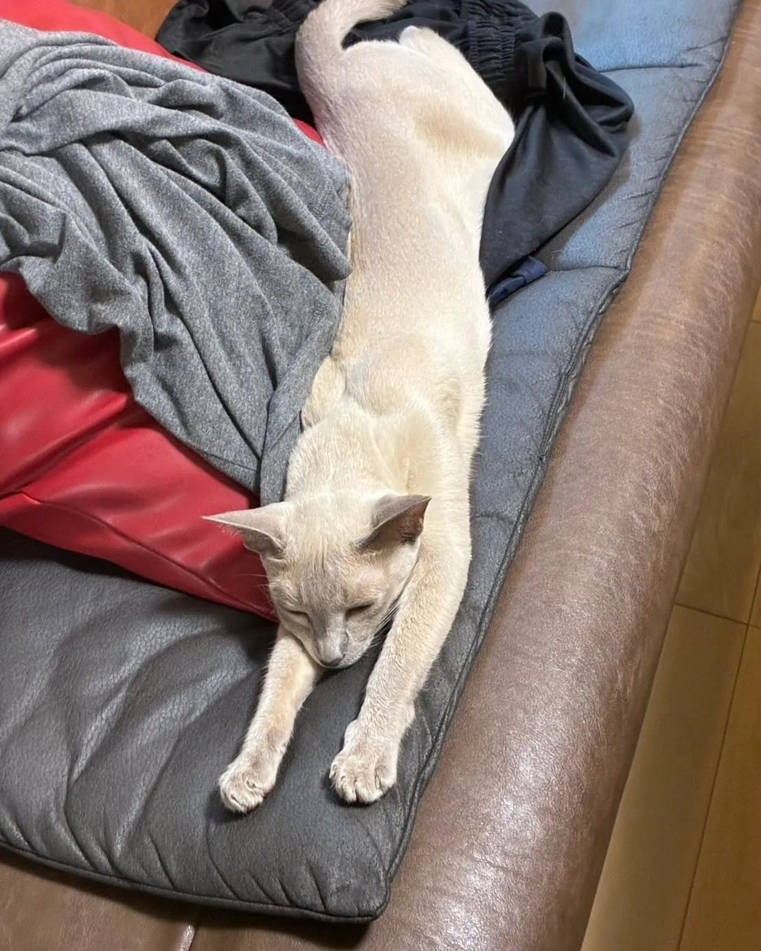 7月も今日で終わり。