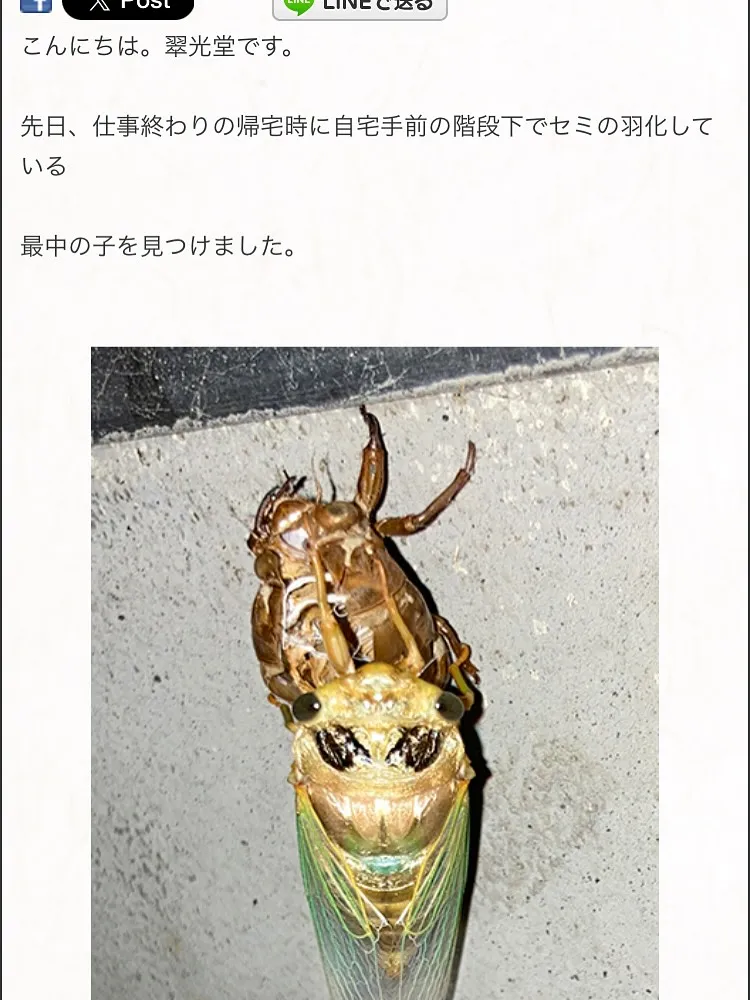 本日もご来店いただきありがとうございました。