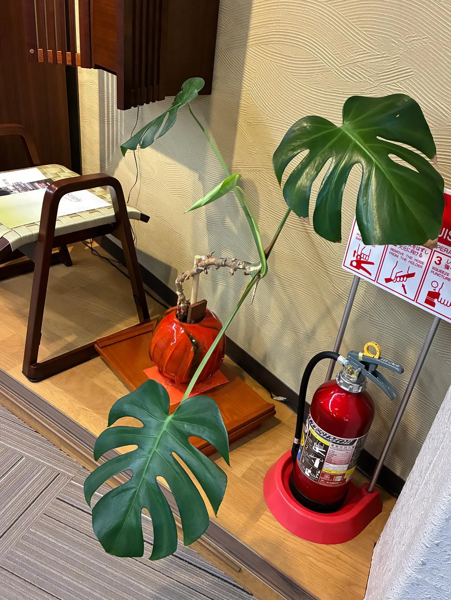 お盆休みいかがお過ごしでしょうか。