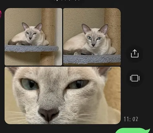 本日もご来店いただきありがとうございました😊