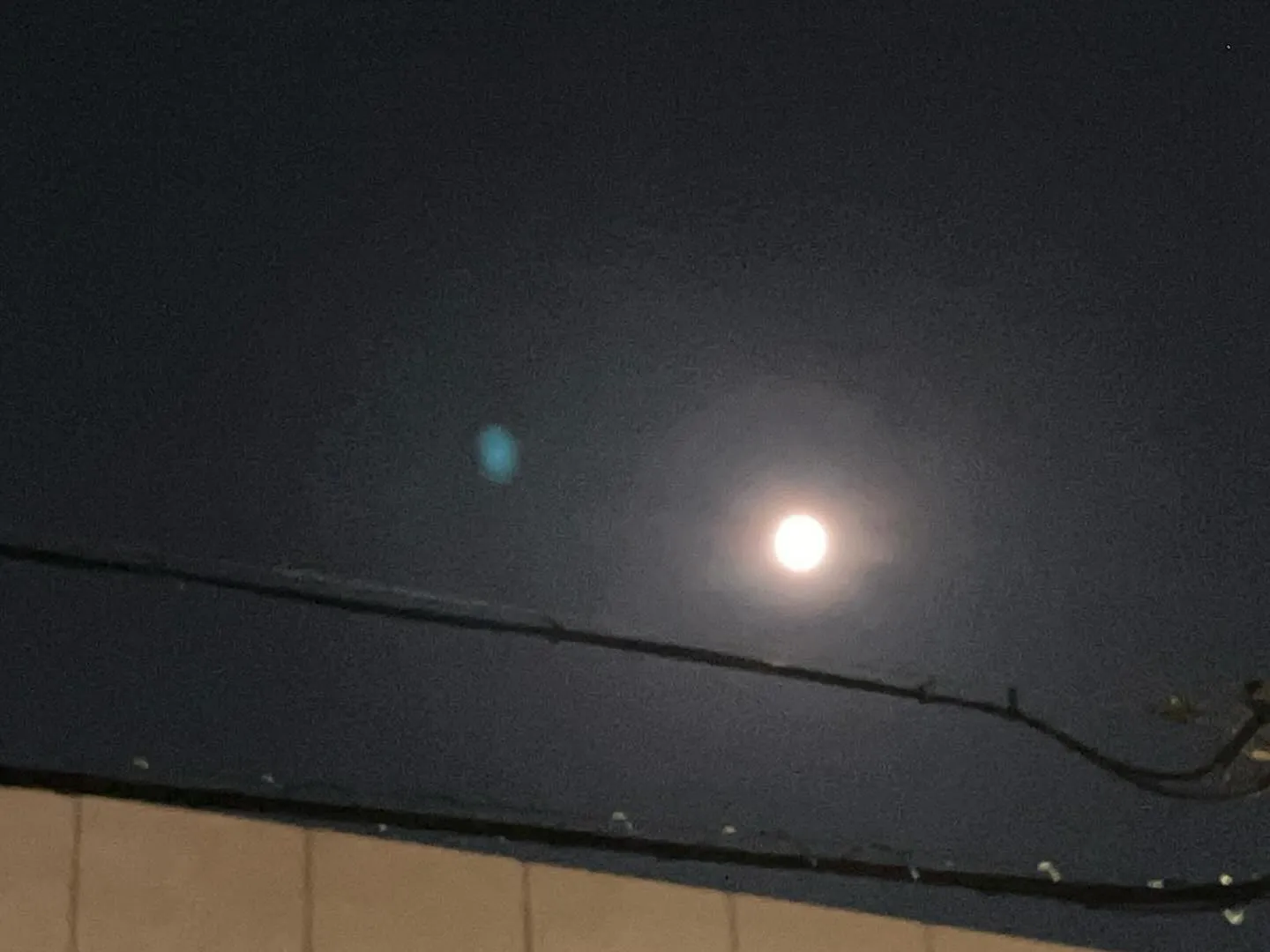 台風一過の大阪です。