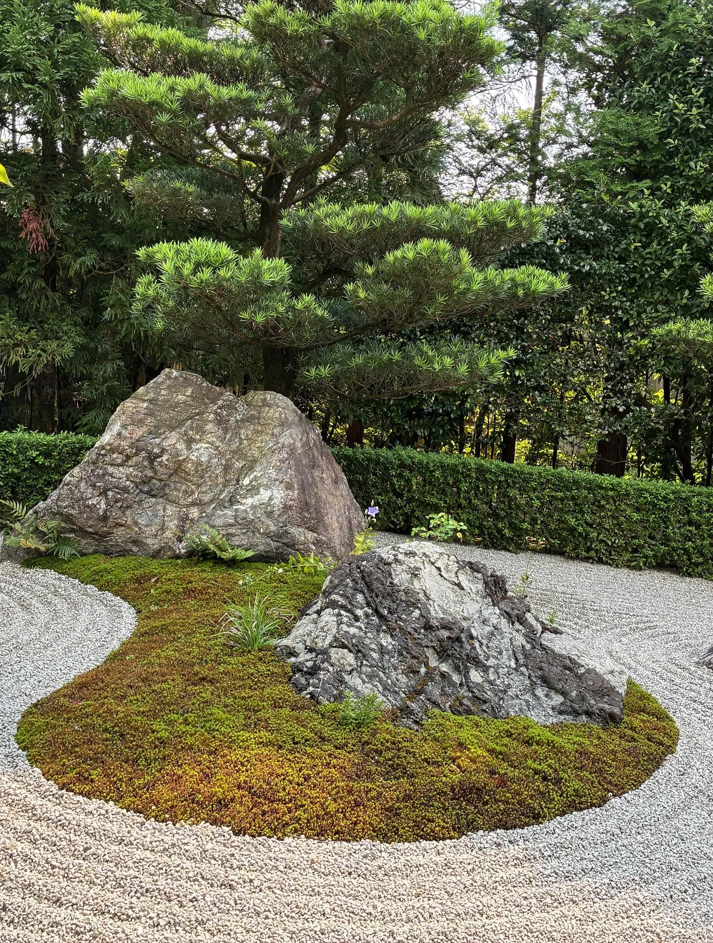 京都信用金庫様よりのご縁で臨済宗妙心寺大本山 退蔵院様にて坐...
