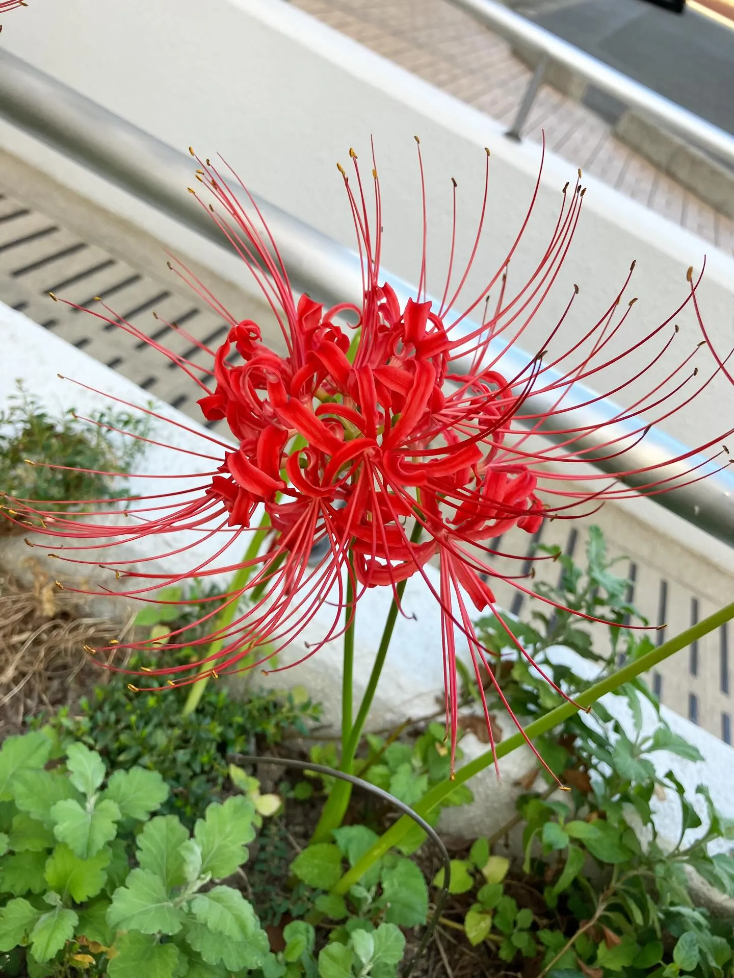 本日もご来店いただきありがとうございました。