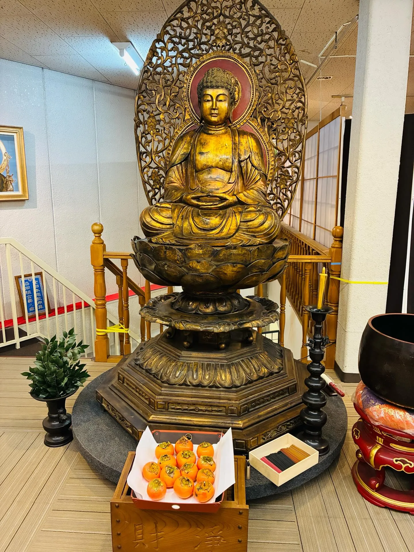 今年もいろんな方々から柿をいただきました！