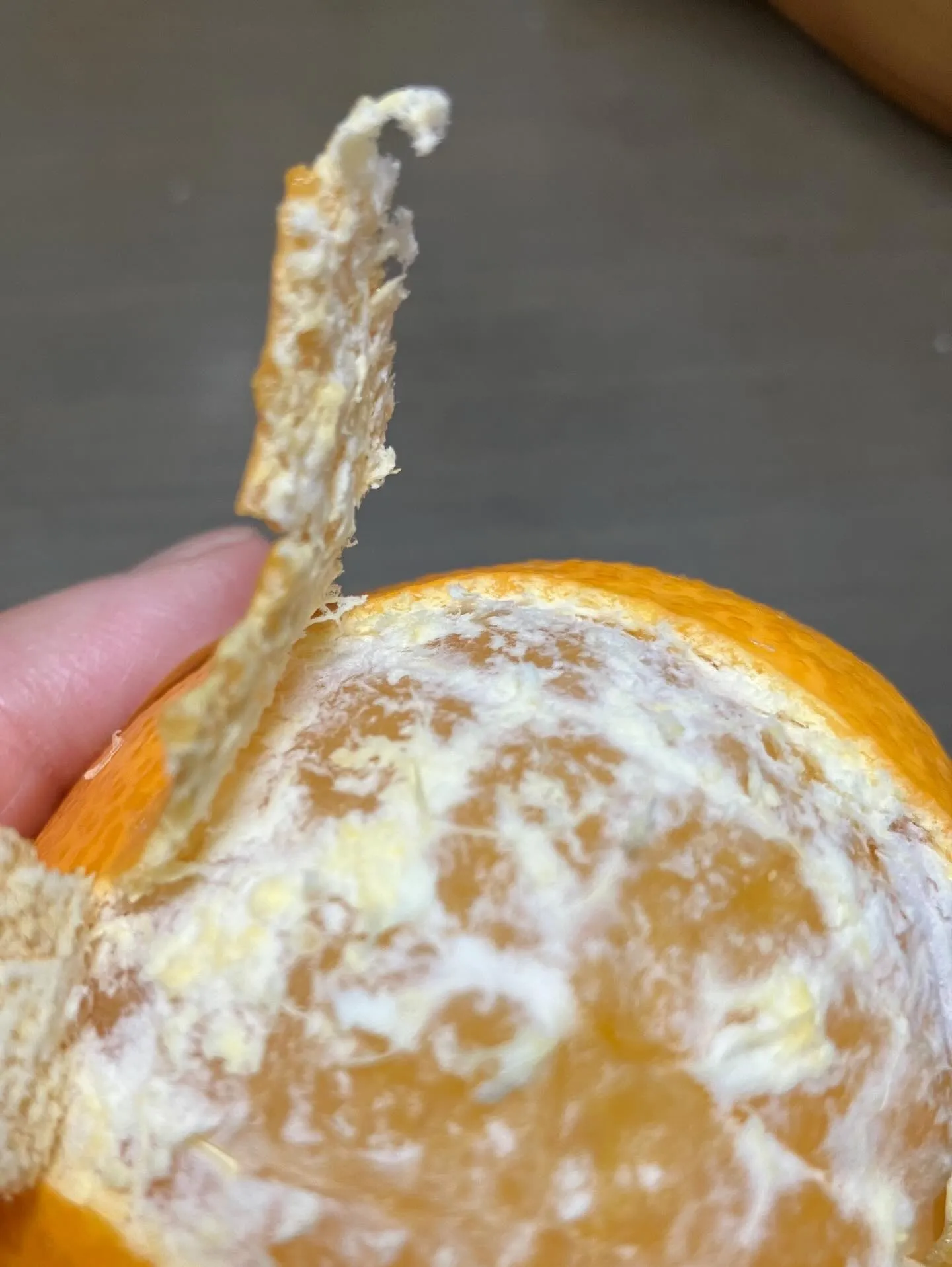 今年の営業も残すところあと3日。