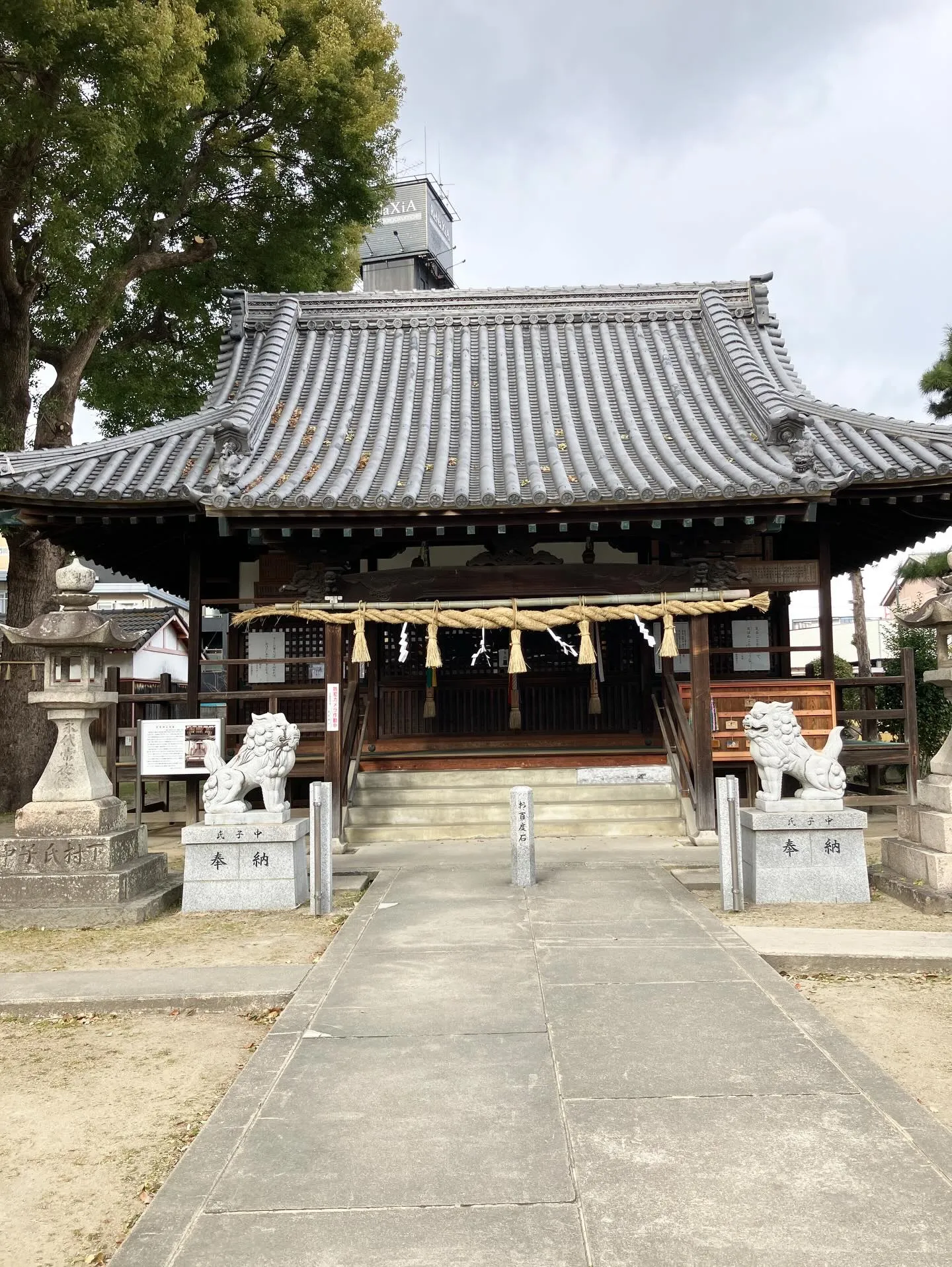 今日は大寒。
