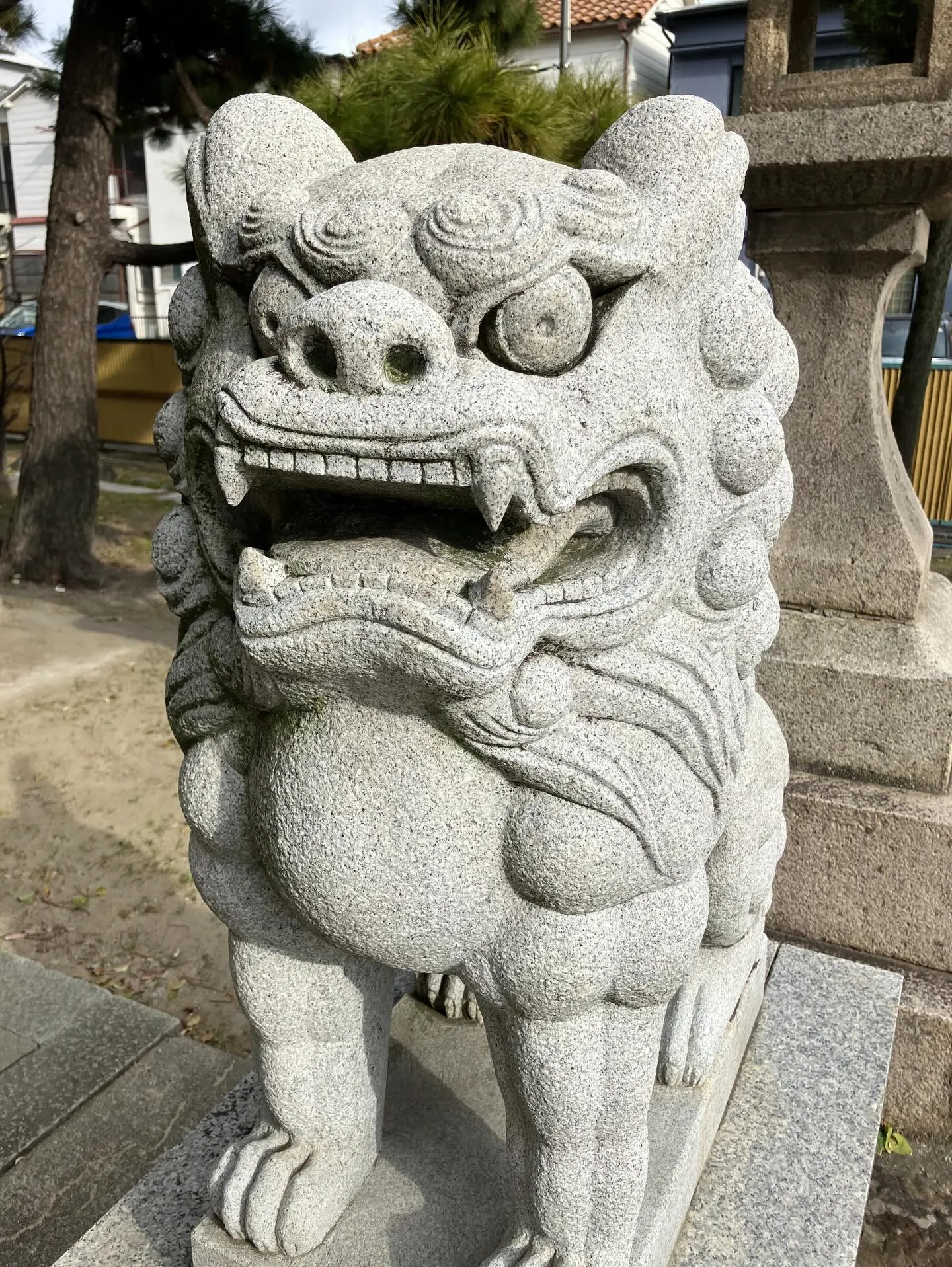 今日は大寒。