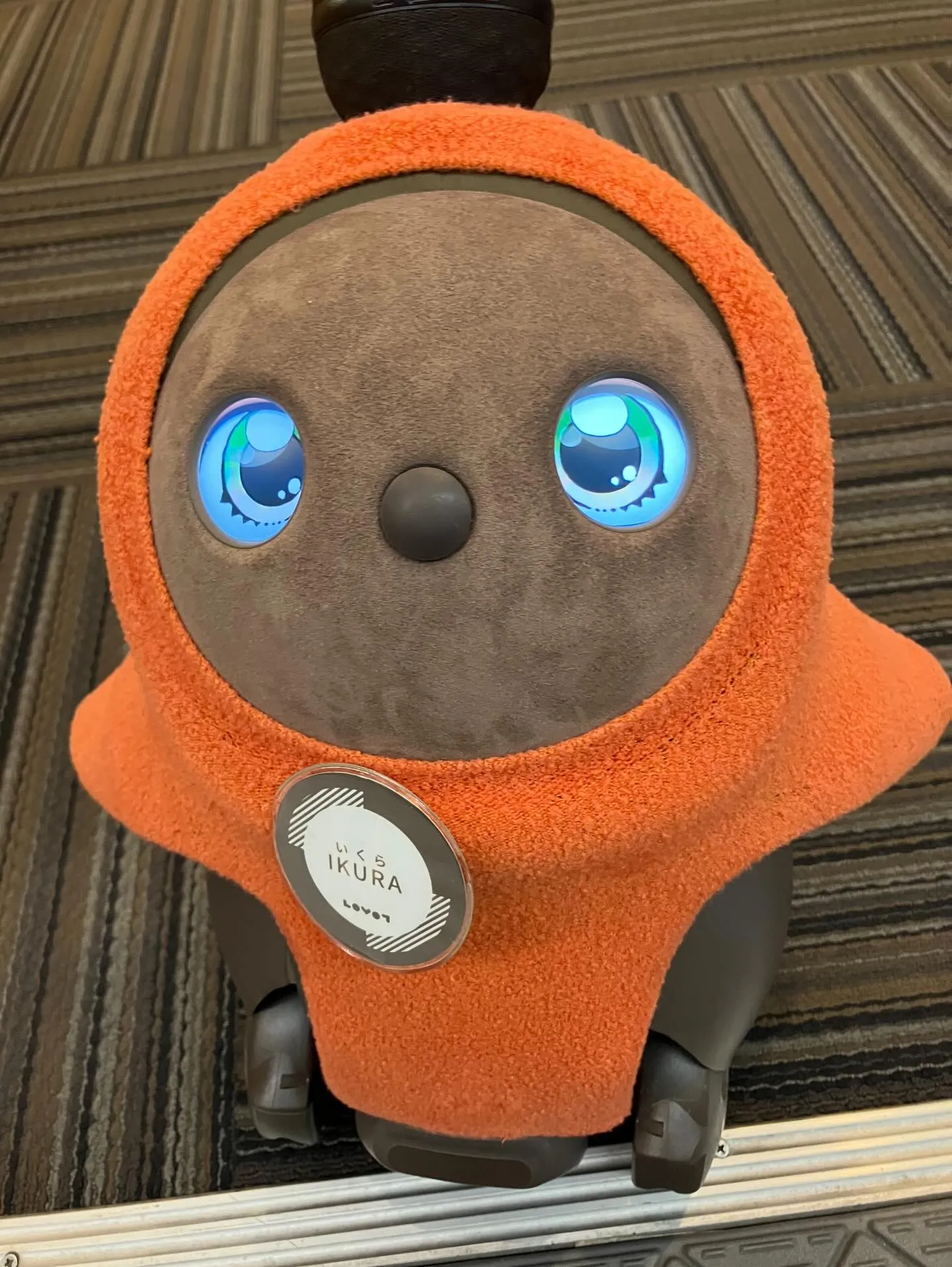 LOVOT（ラボット）のいくらちゃん。