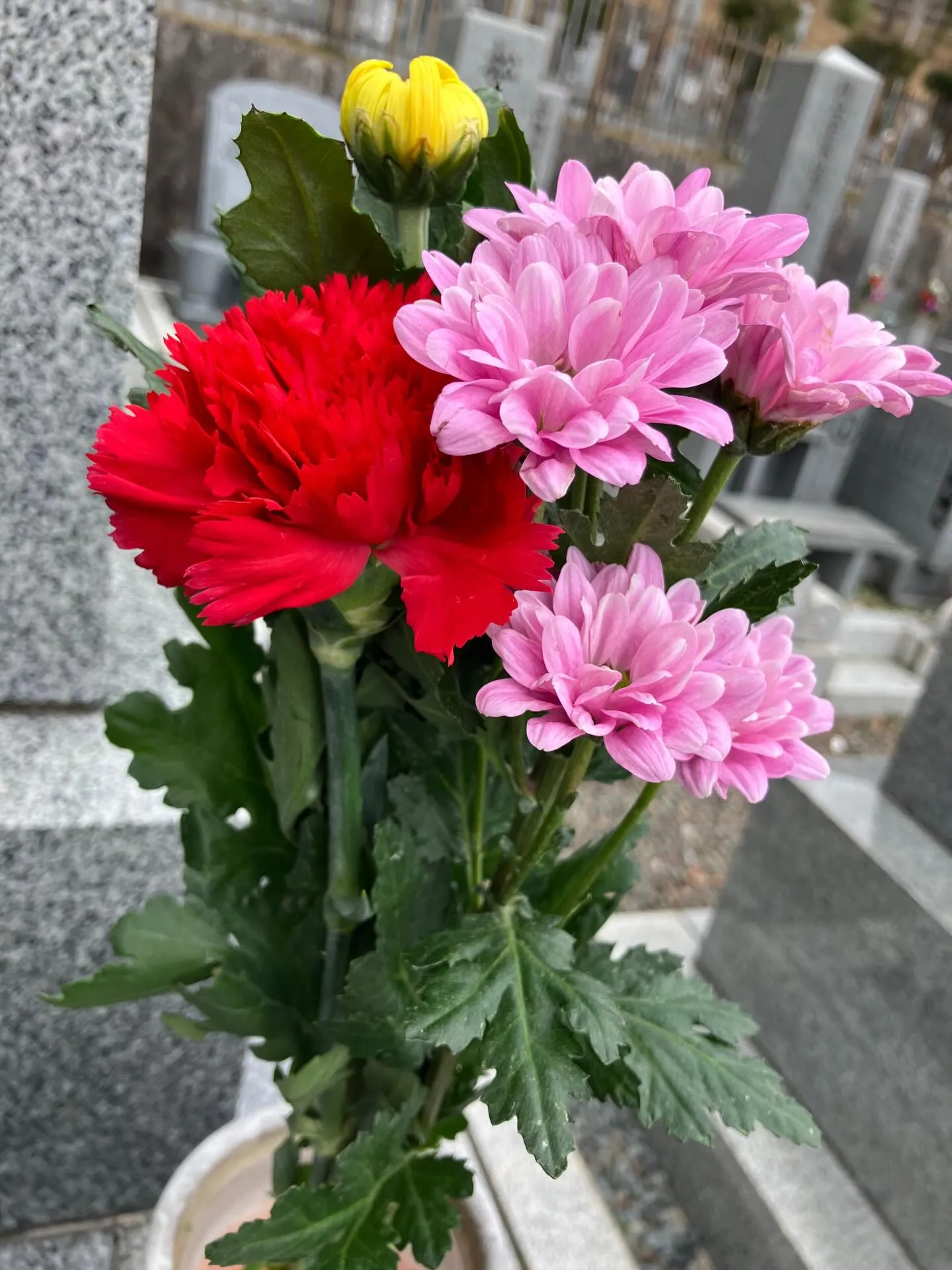 今年の春のお彼岸。