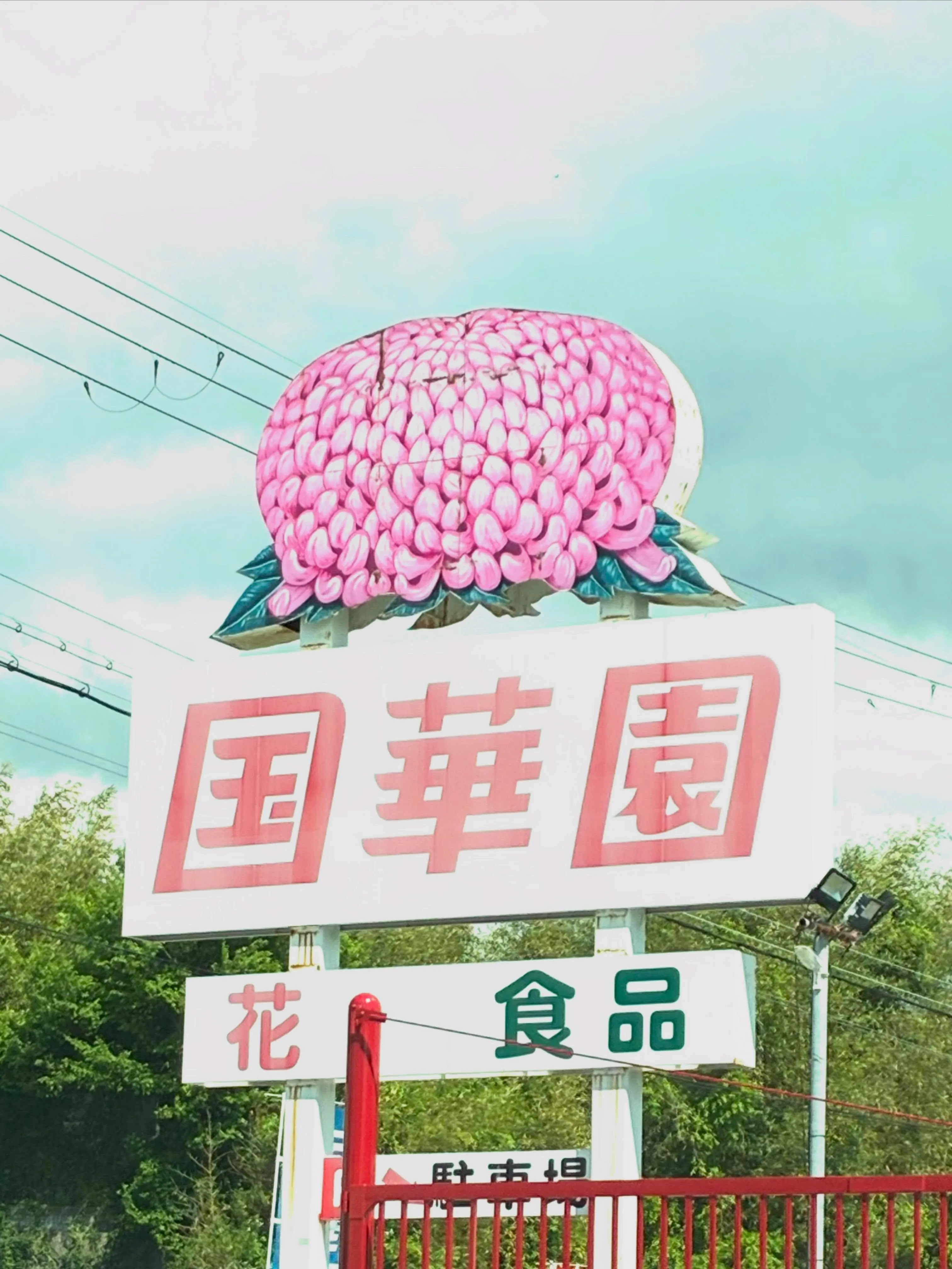 少し前に大変大きなお花屋さん国華園さんへとお邪魔しました。