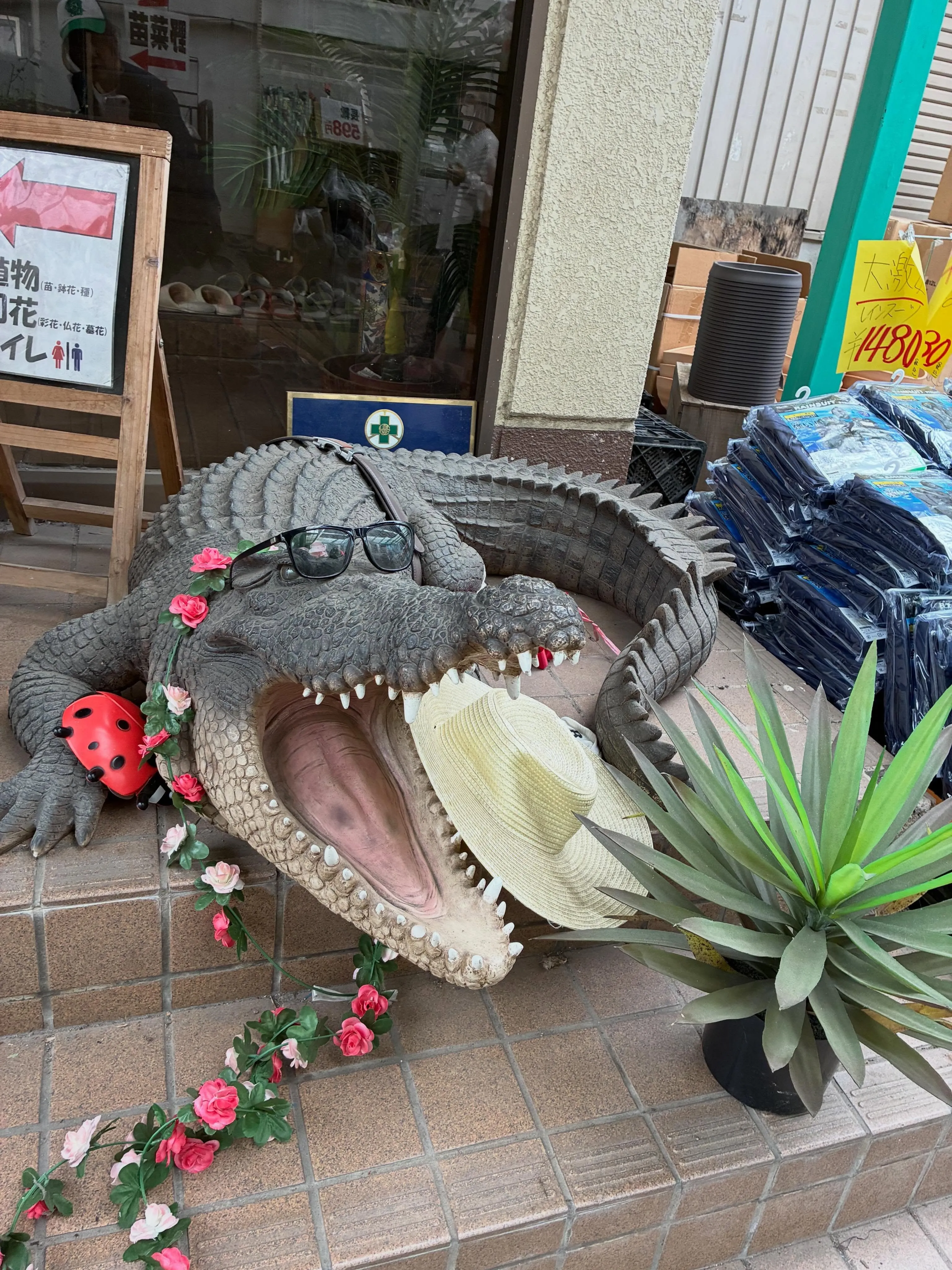 少し前に大変大きなお花屋さん国華園さんへとお邪魔しました。
