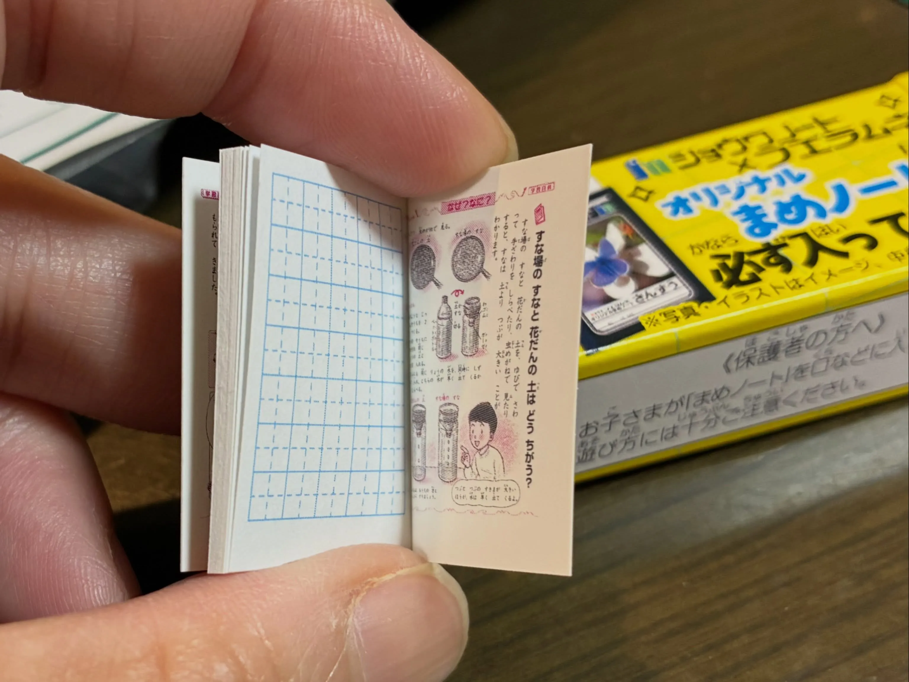 毎日毎日暑い日が続きますが。