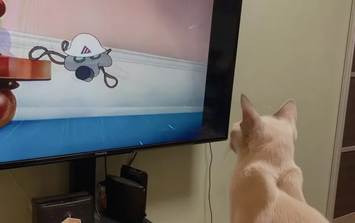 今週末もご来店いただきありがとうございました。